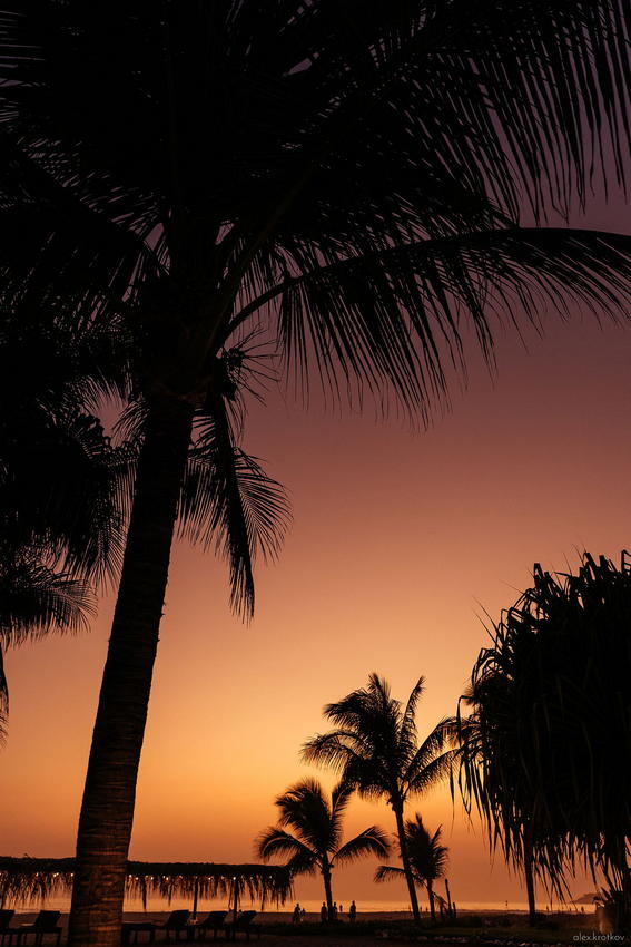 Playa Zicatela Hotel Blater Puerto Escondido Oaxaca